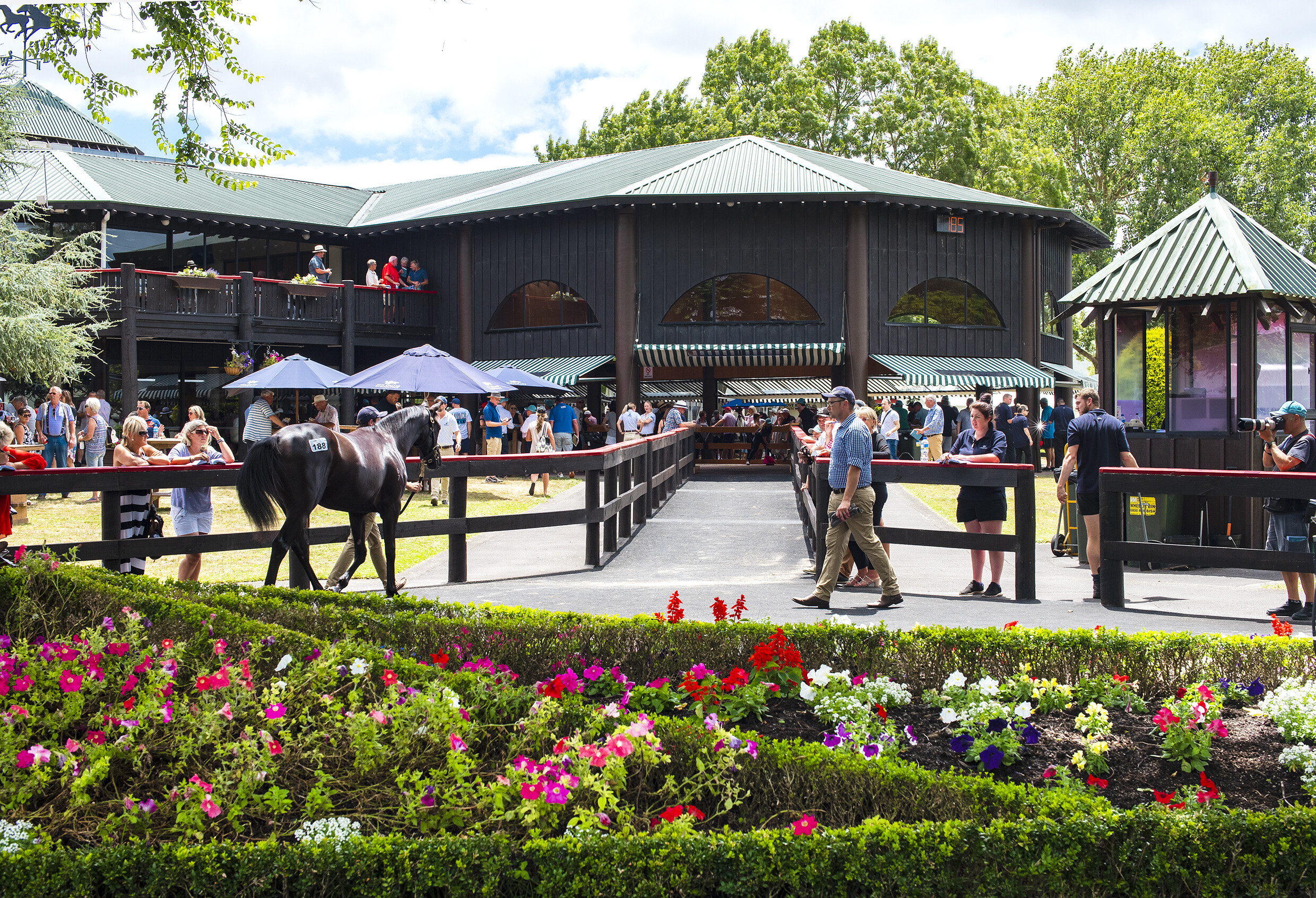 Karaka Parade Ring